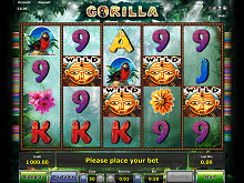 Gorilla